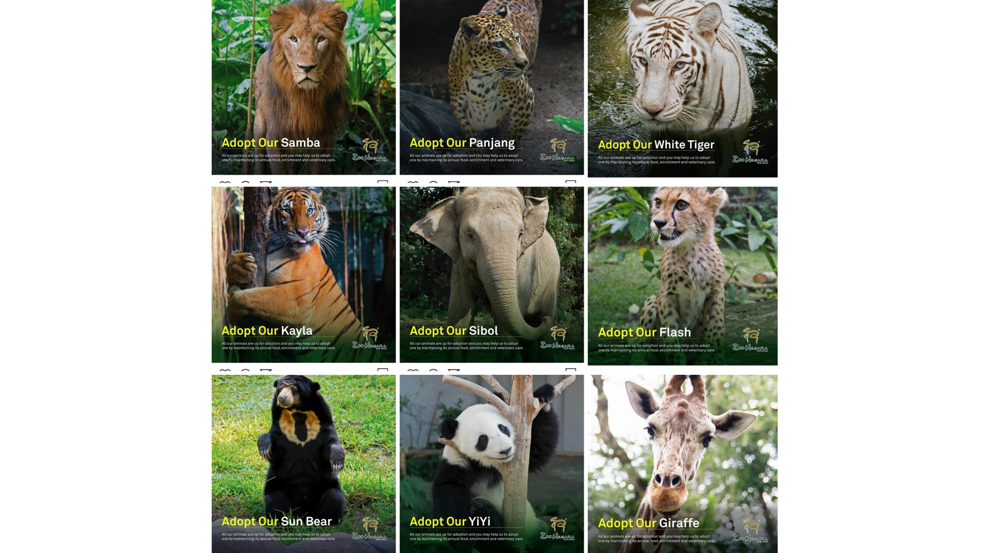 Zoo Negara: Adopt Our Animal